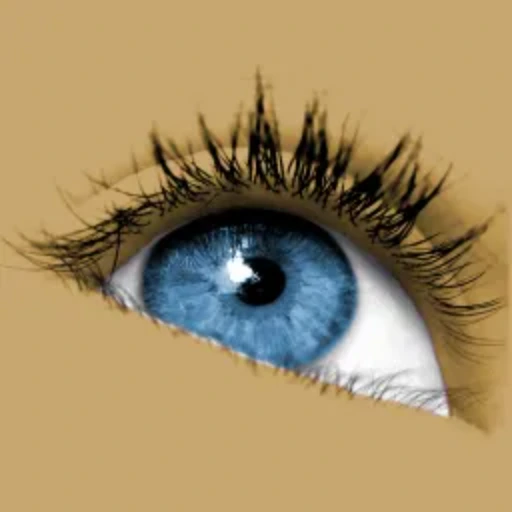 Download Sante DICOM Viewer Pro